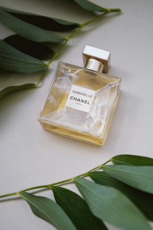 A bottle of Gabrielle Essence Eau De Parfum laying on a table between to green plants.